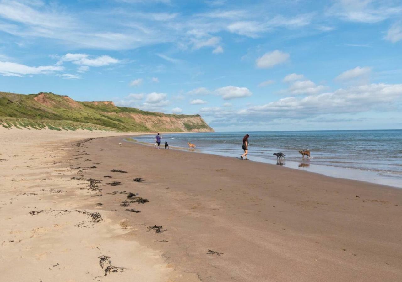 Driftwood Apt 7 Skinningrove Zewnętrze zdjęcie